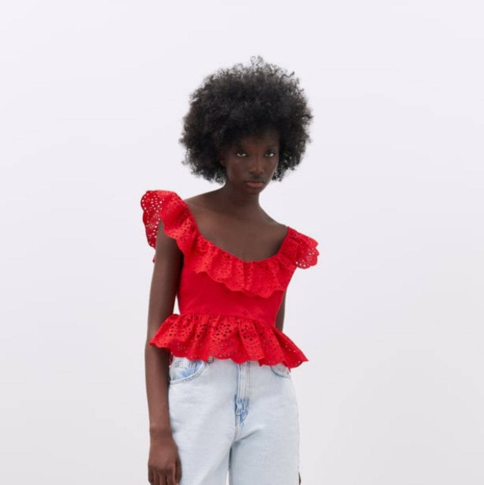 NWT ZARA Openwork Embroidered Top